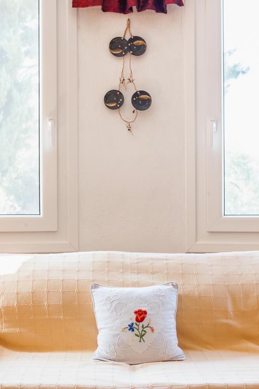 Aloni Villa Skopelos Værelse billede